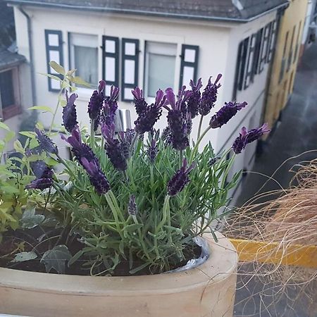 Haus Alfina 빌라 외부 사진