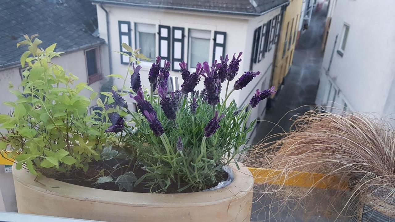 Haus Alfina 빌라 외부 사진